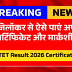 CTET Result 2026 Certificate